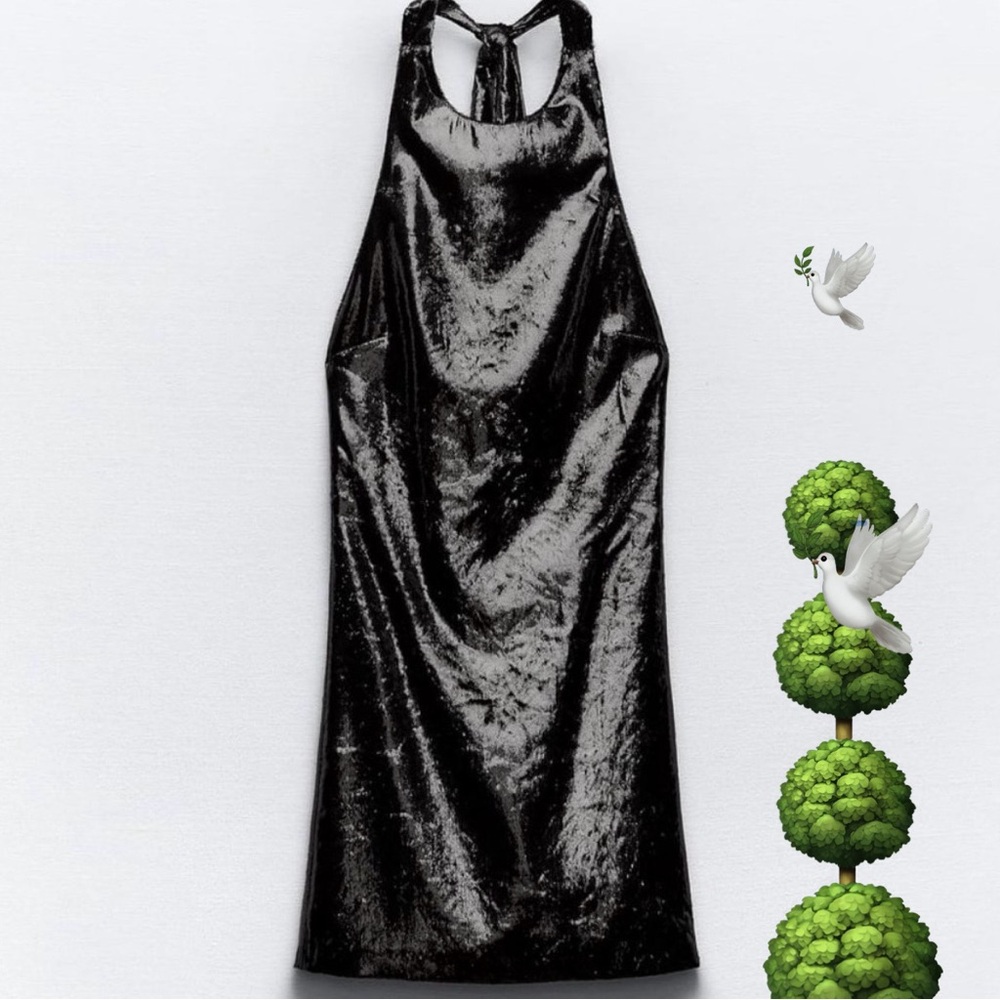 🌳🕊️ZARA dress